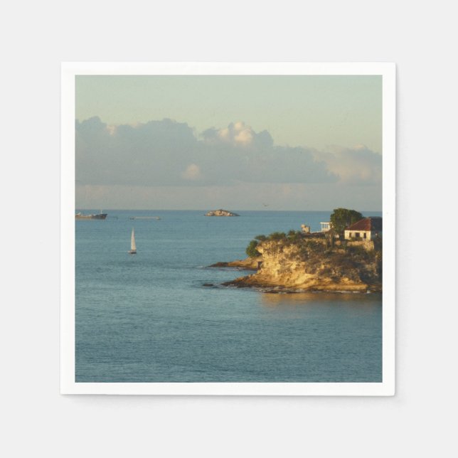 Antiguan Coast Beautiful Island Seascape Napkins (Front)
