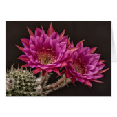 Antimatter blooms (Front Horizontal)