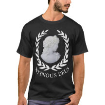 Antinous the God of Rome and Hadrian's Favorite -
