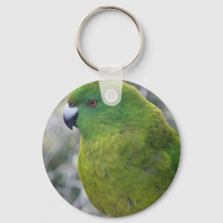 Antipodes Island Parakeet Keychain