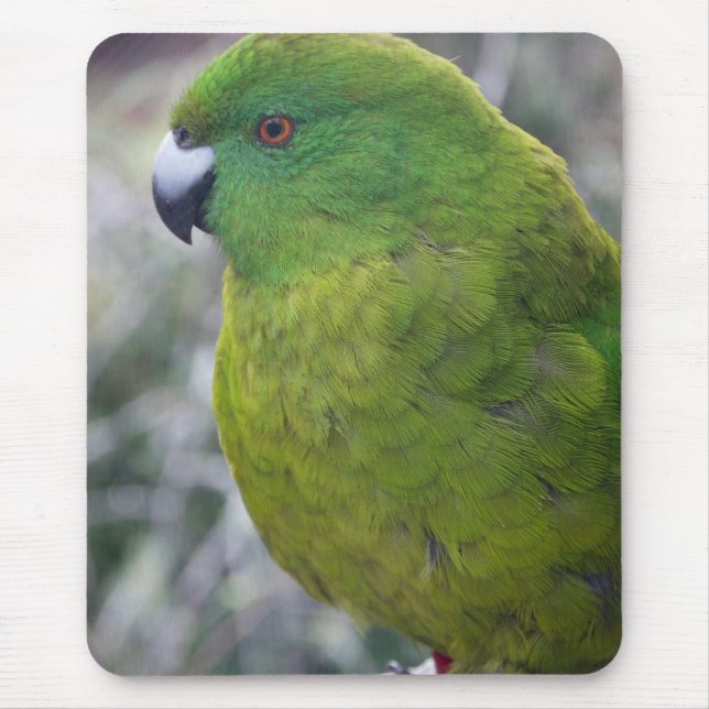 Antipodes Island Parakeet Mouse Pad (Front)