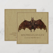 Antiquated Bat Image (Front/Back)