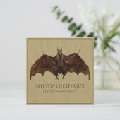 Antiquated Bat Image (Standing Front)