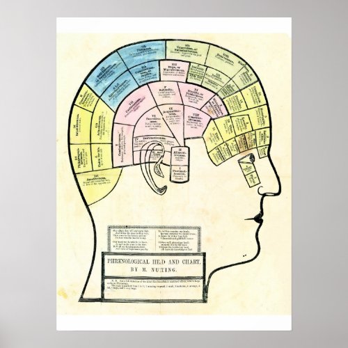 Antique 1857 phrenological head and chart