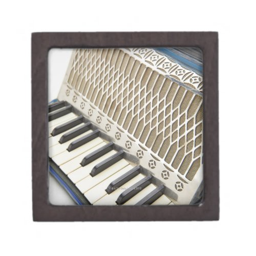 Antique Accordion Keyboard Gift Box