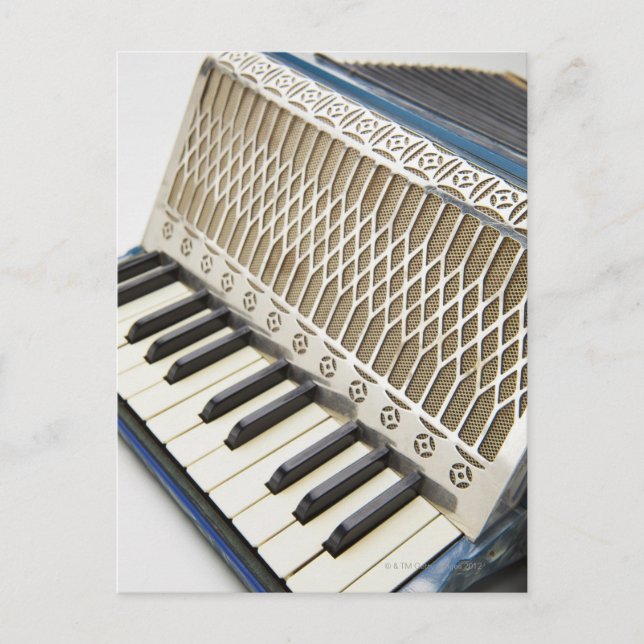 Antique Accordion Keyboard Postcard (Front)
