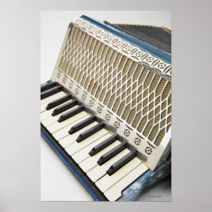 Antique Accordion Keyboard Poster