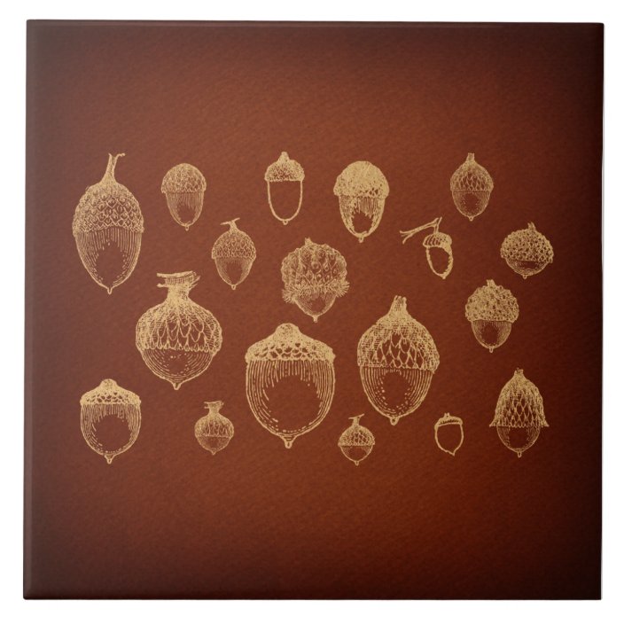 Antique Acorn Art Illustrated Vintage Acorns Ceramic Tile Zazzle Antique Acorn Art Illustrated Vintage Acorns Ceramic Tile Zazzle