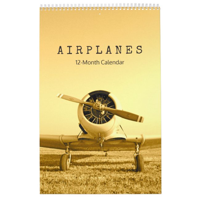 Antique Airplanes Biplanes 12-Month Calendar (Cover)