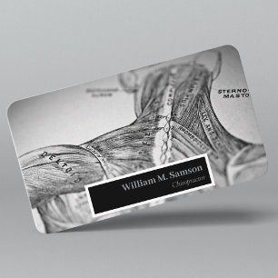 Antique anatomical illustration chiropractor  business card