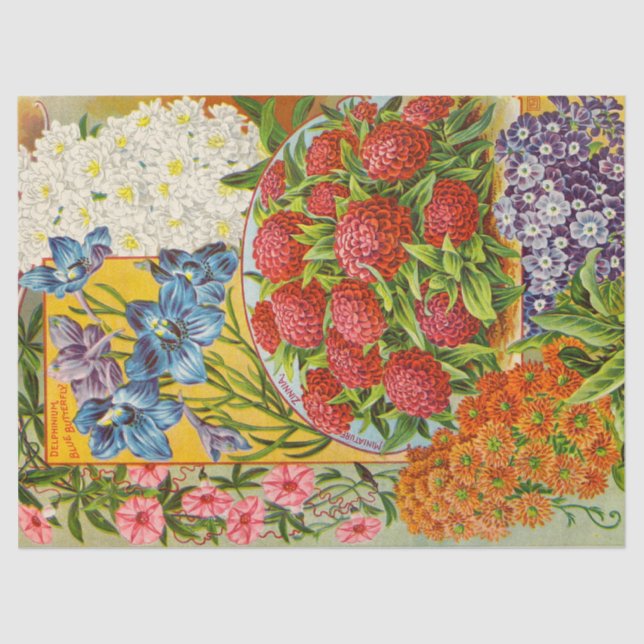 Antique Annuals Flower Tissue Paper (Front)