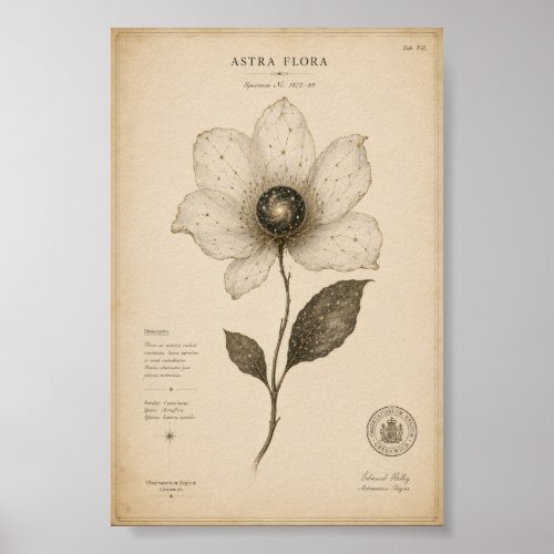 Antique Astronomy Flower Wall Art