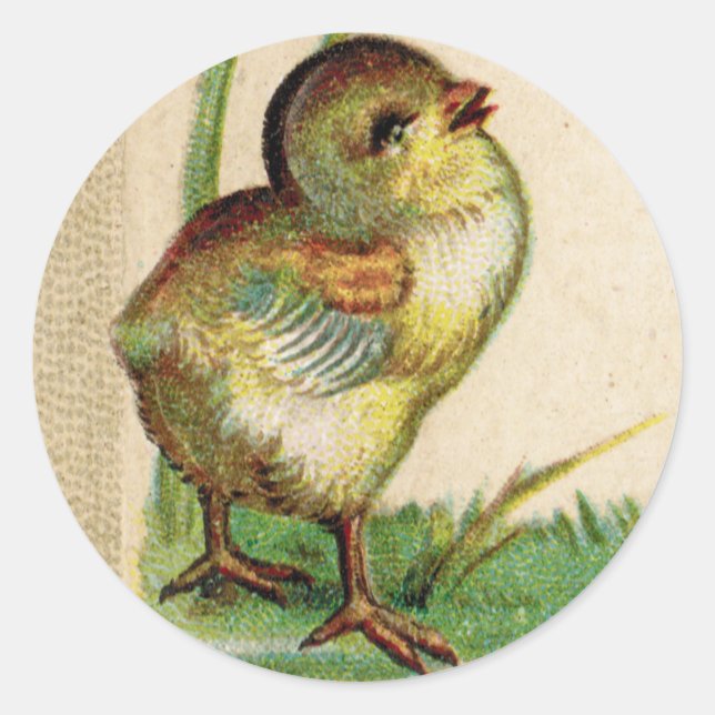 Antique Baby Easter Chick Round Sticker (Front)