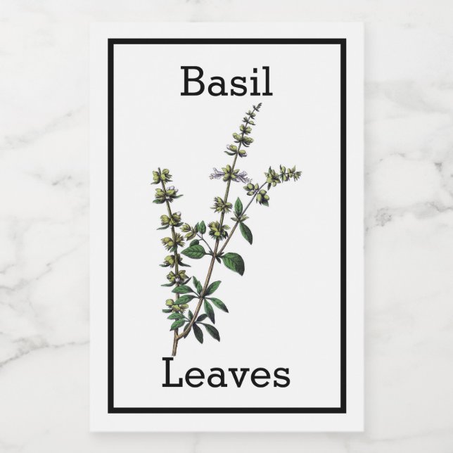 Antique Basil Label (Single Label)