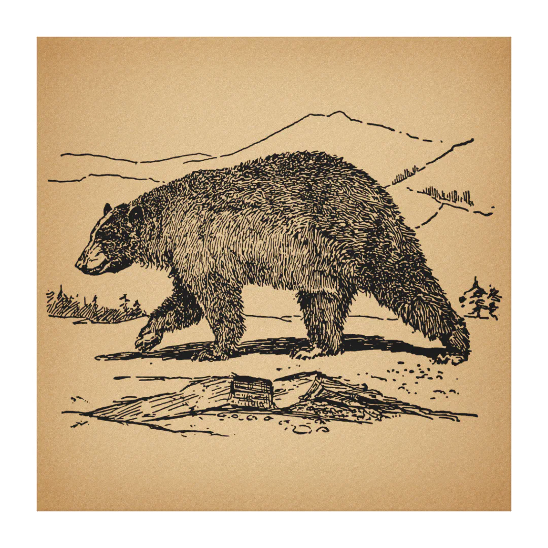 Пермский медведь рисунок