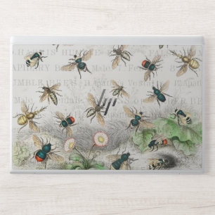 Antique Bee Honey Worker Queen Bees Vintage HP Laptop Skin