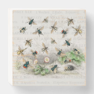 Antique Bee Honey Worker Queen Bees Vintage Wooden Box Sign