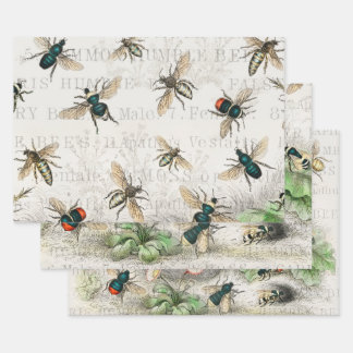 Antique Bee Honey Worker Queen Bees Vintage Wrapping Paper Sheets