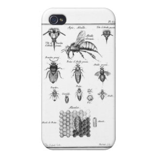 Antique Bees & Honeycomb iPhone 4 Case