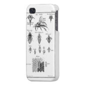Antique Bees & Honeycomb iPhone Case (Back Left)