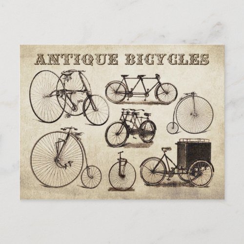 Antique Bicycles Velocipedes Postcard