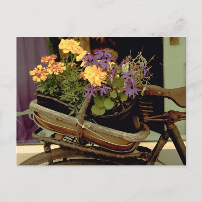 Antique bike postcard (Front)