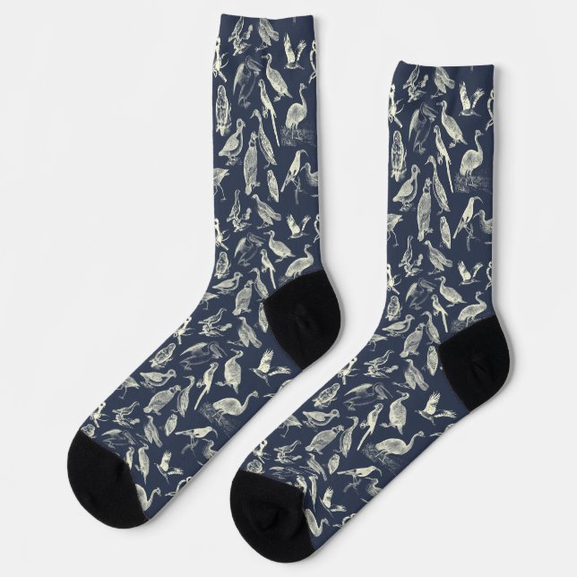 Antique Birds Illustrations Engravings Cream Navy Socks (Left)