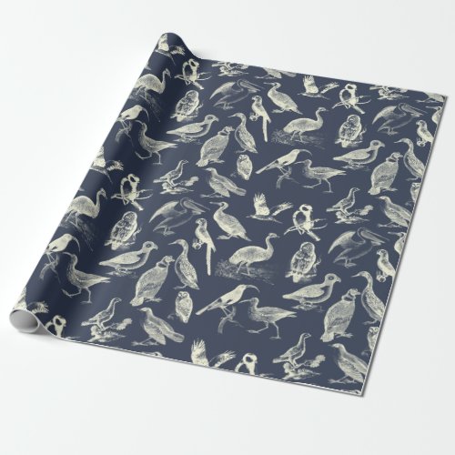 Antique Birds Illustrations Engravings Cream Navy Wrapping Paper