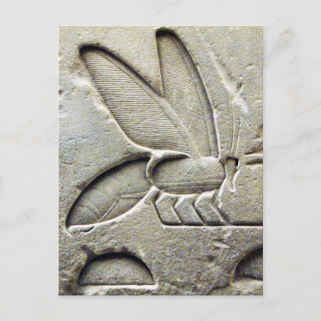 ANTIQUE BLACK WHITE  EGYPTIAN HONEY BEE BEEKEEPER POSTCARD (Front)