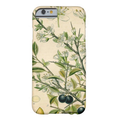 Antique Blackthorn Botanical Print Flower Berry Barely There iPhone 6 Case