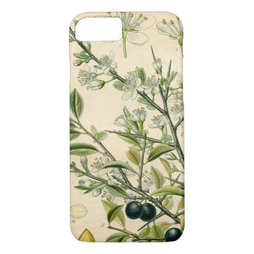 Antique Blackthorn Botanical Print Flower Berry iPhone 87 Case