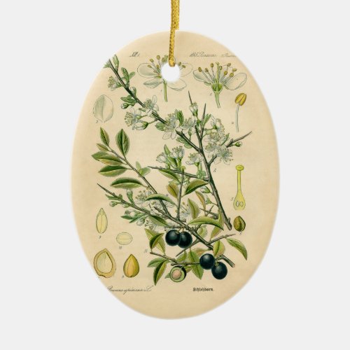 Antique Blackthorn Botanical Print Flower Berry Ceramic Ornament