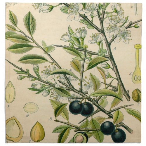 Antique Blackthorn Botanical Print Flower Berry Cloth Napkin