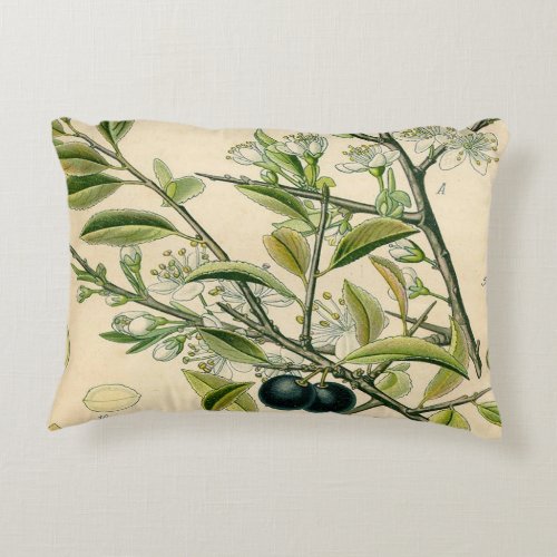 Antique Blackthorn Botanical Print Flower Berry Decorative Pillow