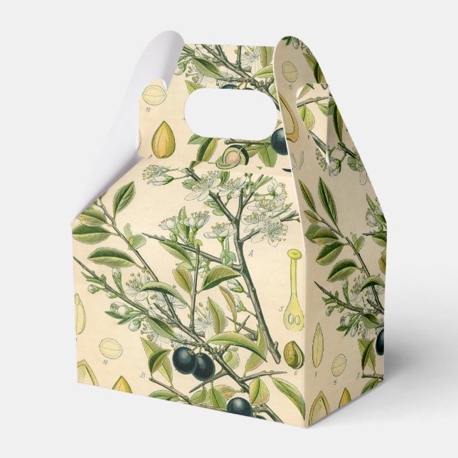 Antique Blackthorn Botanical Print Flower Berry Favor Boxes (Front Side)