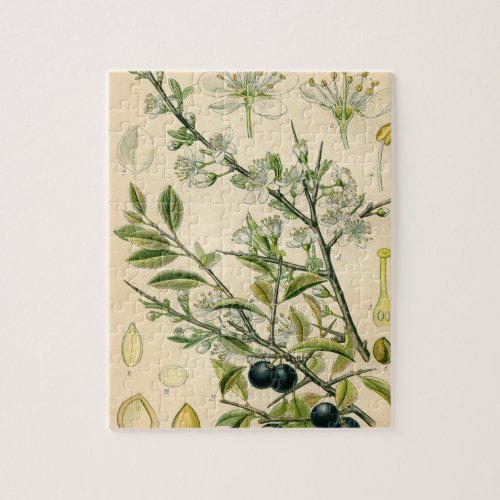 Antique Blackthorn Botanical Print Flower Berry Jigsaw Puzzle