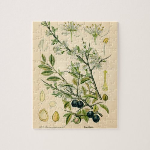 Antique Blackthorn Botanical Print Flower Berry Jigsaw Puzzle