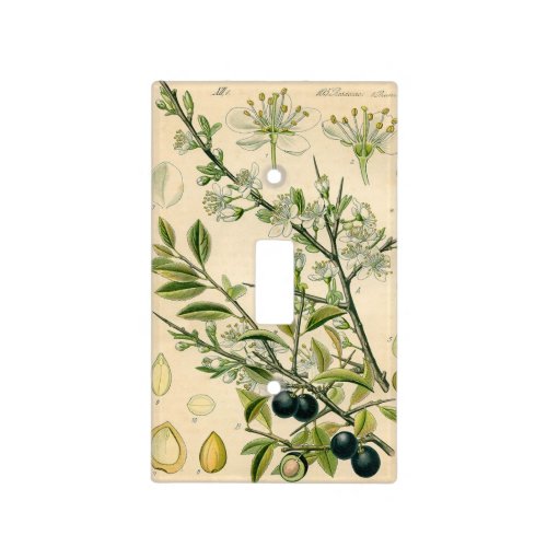 Antique Blackthorn Botanical Print Flower Berry Light Switch Cover