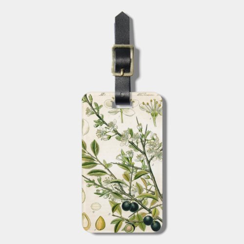 Antique Blackthorn Botanical Print Flower Berry Luggage Tag