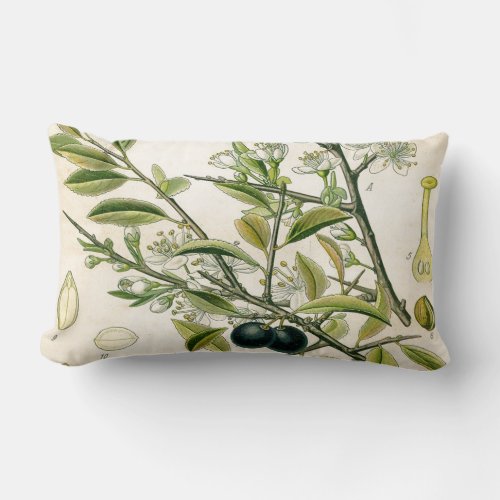 Antique Blackthorn Botanical Print Flower Berry Lumbar Pillow