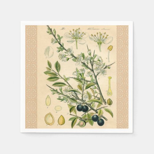 Antique Blackthorn Botanical Print Flower Berry Napkins