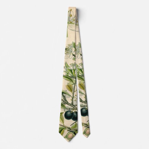 Antique Blackthorn Botanical Print Flower Berry Neck Tie