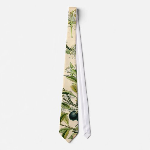 Antique Blackthorn Botanical Print Flower Berry Neck Tie