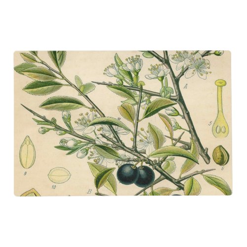 Antique Blackthorn Botanical Print Flower Berry Placemat