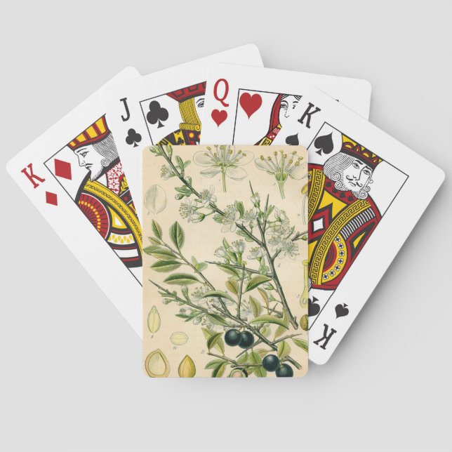 Antique Blackthorn Botanical Print Flower Berry Poker Cards (Back)