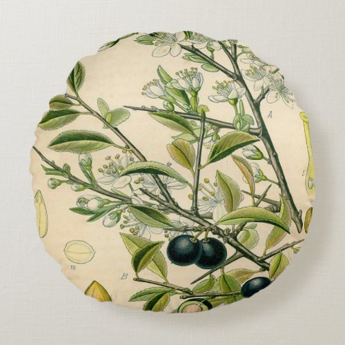 Antique Blackthorn Botanical Print Flower Berry Round Pillow