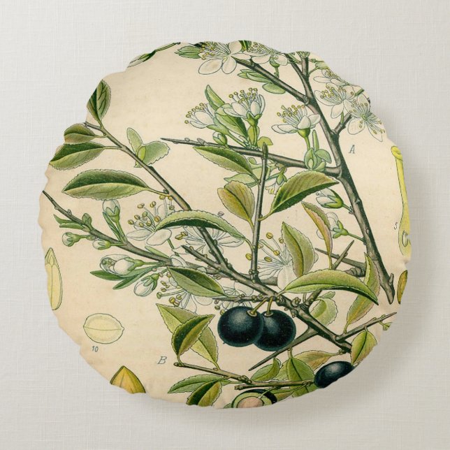 Antique Blackthorn Botanical Print Flower Berry Round Pillow (Front)
