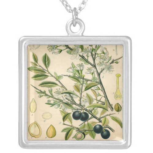 Antique Blackthorn Botanical Print Flower Berry Silver Plated Necklace