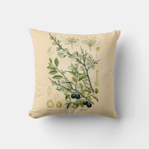 Antique Blackthorn Botanical Print Flower Berry Throw Pillow