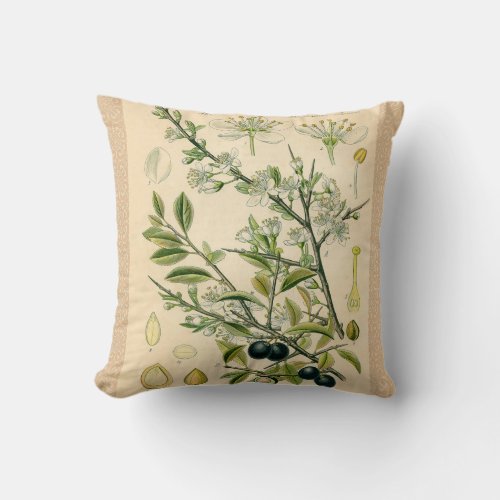 Antique Blackthorn Botanical Print Flower Berry Throw Pillow